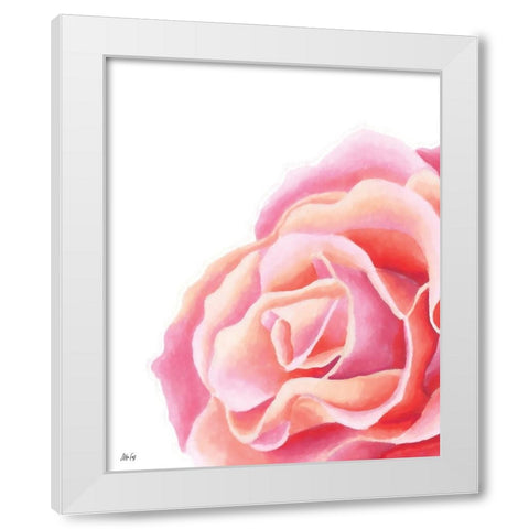 Pink Rose II White Modern Wood Framed Art Print by Fay, Mela