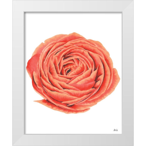 Orange Rose White Modern Wood Framed Art Print by Fay, Mela