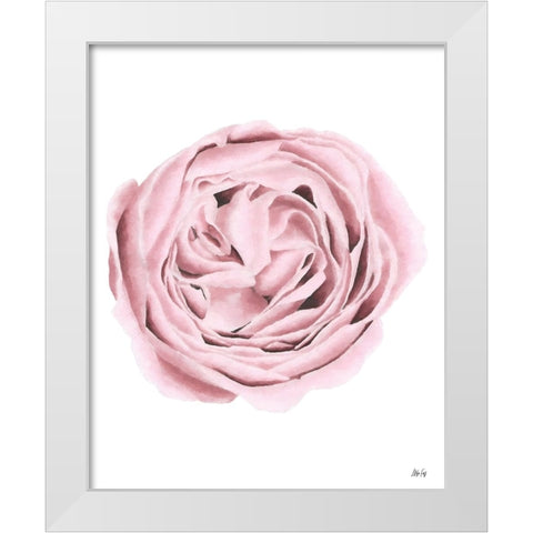 Powder Rose White Modern Wood Framed Art Print by Fay, Mela