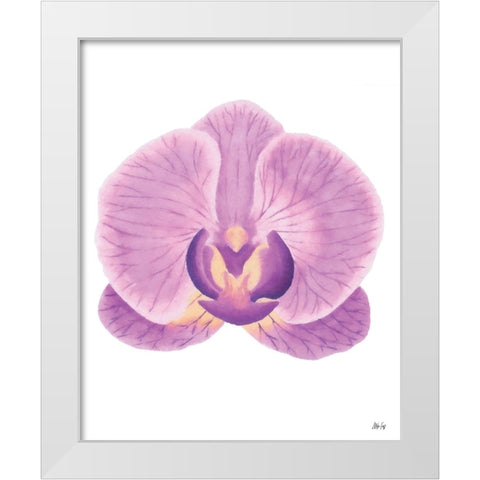 Purple Orchid II White Modern Wood Framed Art Print by Fay, Mela