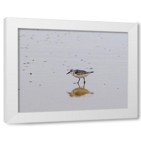 Little Guy White Modern Wood Framed Art Print by Singleton, Ashley