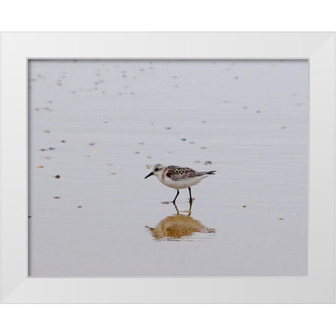 Little Guy White Modern Wood Framed Art Print by Singleton, Ashley
