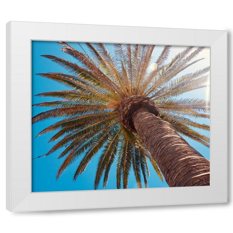 Sunny Palms White Modern Wood Framed Art Print by Singleton, Ashley