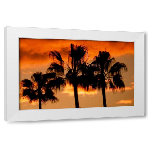 Neon Palm Trees II White Modern Wood Framed Art Print by Singleton, Ashley