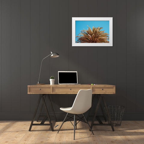 Palm Tree White Modern Wood Framed Art Print by Singleton, Ashley