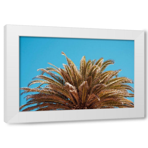 Palm Tree White Modern Wood Framed Art Print by Singleton, Ashley