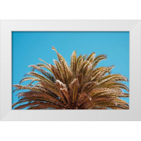 Palm Tree White Modern Wood Framed Art Print by Singleton, Ashley