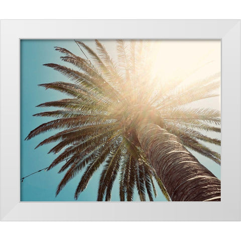 Palm Tree II White Modern Wood Framed Art Print by Singleton, Ashley
