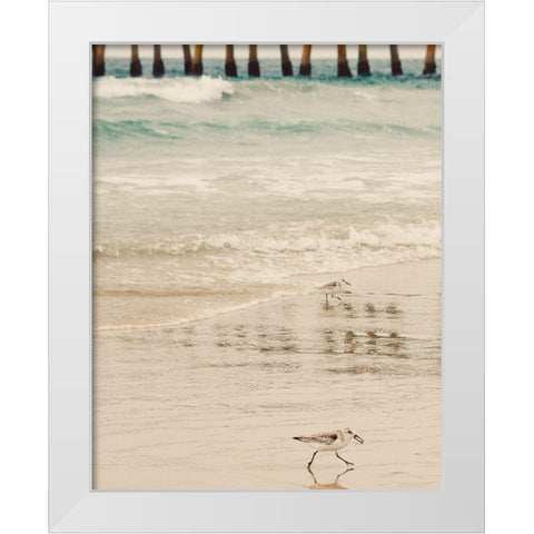 Bird White Modern Wood Framed Art Print by Singleton, Ashley