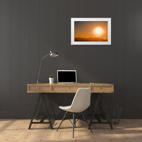 Desertscape White Modern Wood Framed Art Print by Singleton, Ashley