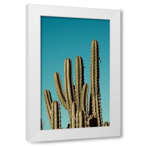 Cactus VII White Modern Wood Framed Art Print by Singleton, Ashley