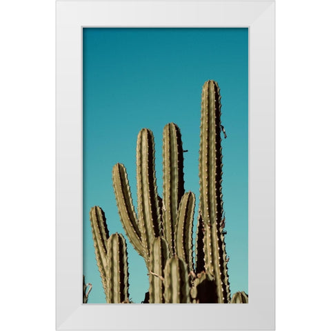 Cactus VII White Modern Wood Framed Art Print by Singleton, Ashley