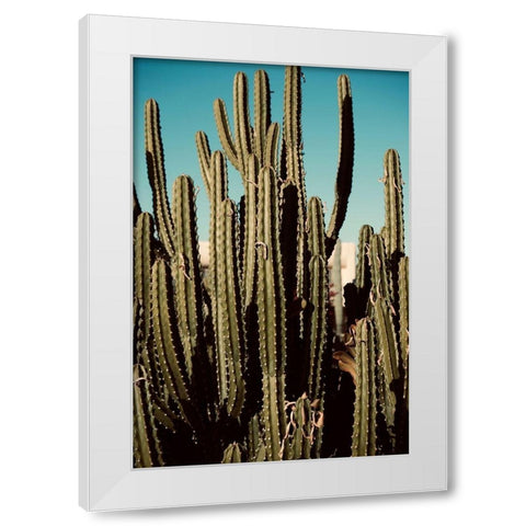 Cactus VIII White Modern Wood Framed Art Print by Singleton, Ashley