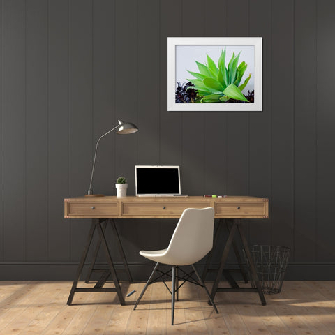 Succulent I White Modern Wood Framed Art Print by Singleton, Ashley