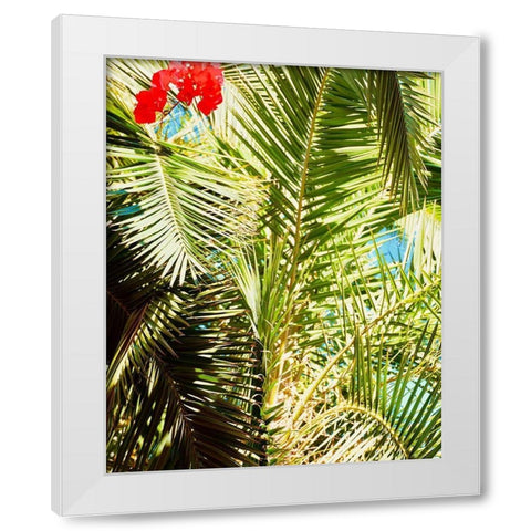 Tropics White Modern Wood Framed Art Print by Singleton, Ashley