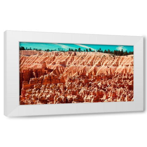 Natures Wonders White Modern Wood Framed Art Print by Singleton, Ashley