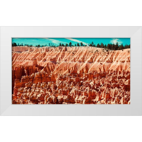 Natures Wonders White Modern Wood Framed Art Print by Singleton, Ashley