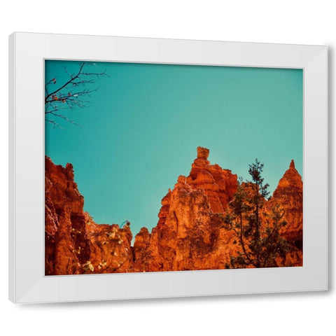 Natures Beauty White Modern Wood Framed Art Print by Singleton, Ashley