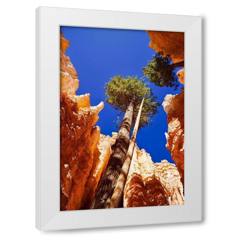 Standing Tall White Modern Wood Framed Art Print by Singleton, Ashley