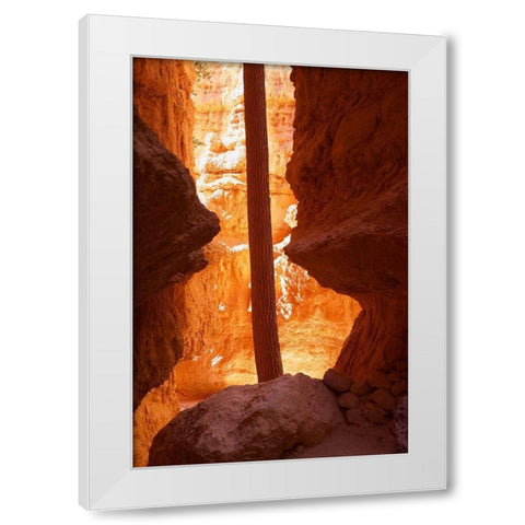 Determined White Modern Wood Framed Art Print by Singleton, Ashley