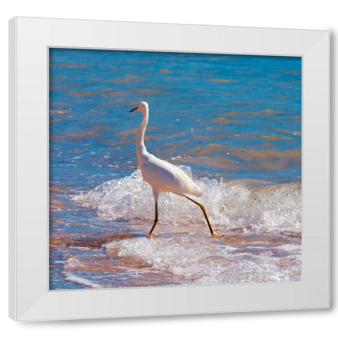 Toe Dipper White Modern Wood Framed Art Print by Singleton, Ashley