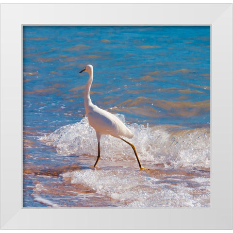 Toe Dipper White Modern Wood Framed Art Print by Singleton, Ashley