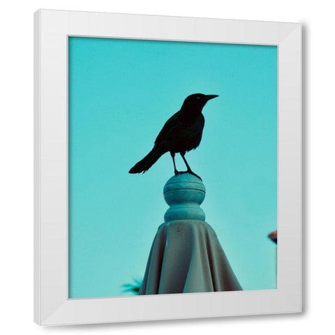 Blue Raven White Modern Wood Framed Art Print by Singleton, Ashley
