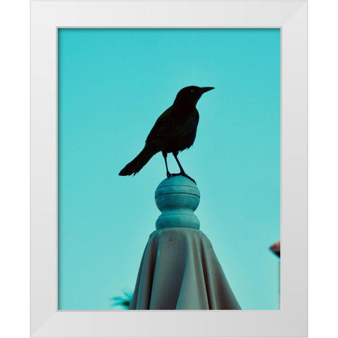 Blue Raven White Modern Wood Framed Art Print by Singleton, Ashley