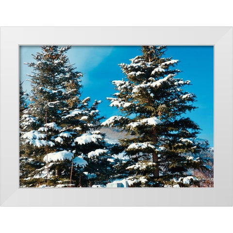 Evergreens White Modern Wood Framed Art Print by Singleton, Ashley