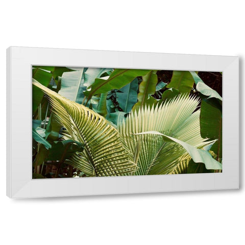 Jungle Love White Modern Wood Framed Art Print by Singleton, Ashley