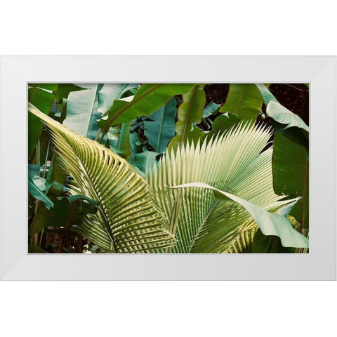Jungle Love White Modern Wood Framed Art Print by Singleton, Ashley