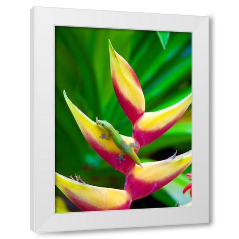 Liz White Modern Wood Framed Art Print by Singleton, Ashley