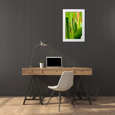 Lizs Back White Modern Wood Framed Art Print by Singleton, Ashley