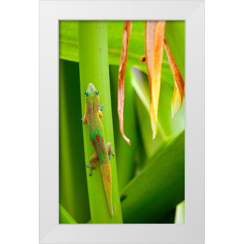 Lizs Back White Modern Wood Framed Art Print by Singleton, Ashley