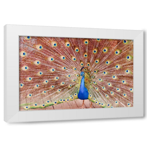 Plume III White Modern Wood Framed Art Print by Singleton, Ashley