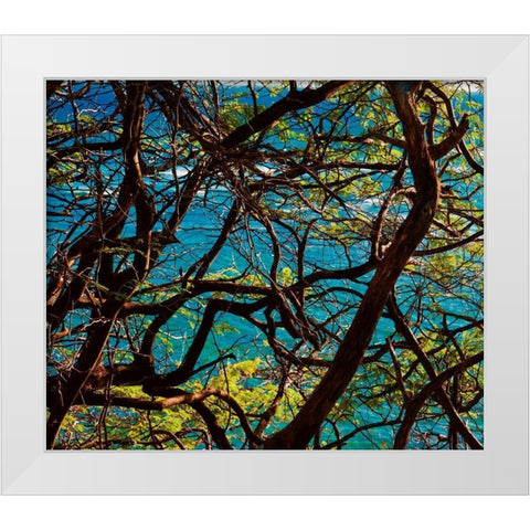 Branches White Modern Wood Framed Art Print by Singleton, Ashley