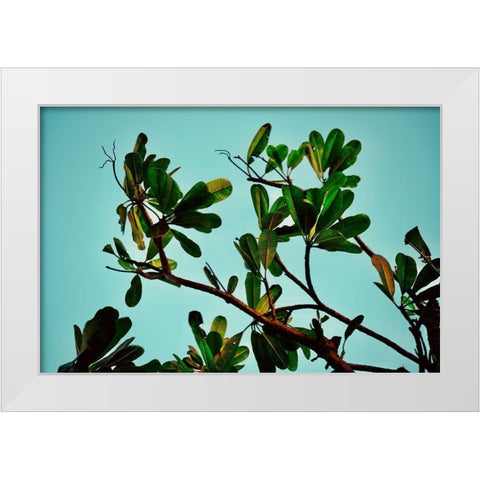 Leaves White Modern Wood Framed Art Print by Singleton, Ashley