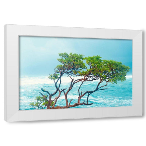 Tropical Trees White Modern Wood Framed Art Print by Singleton, Ashley