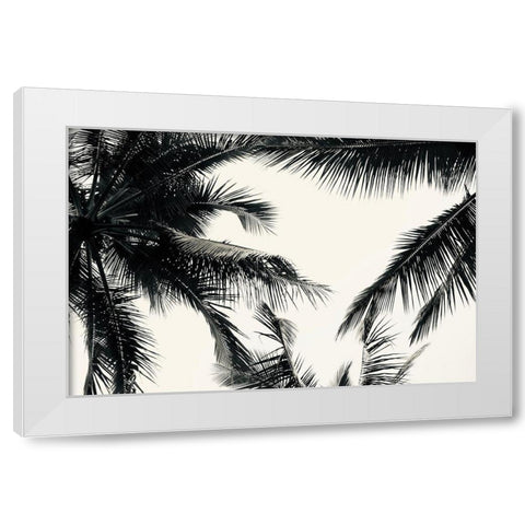 BW Palms White Modern Wood Framed Art Print by Singleton, Ashley