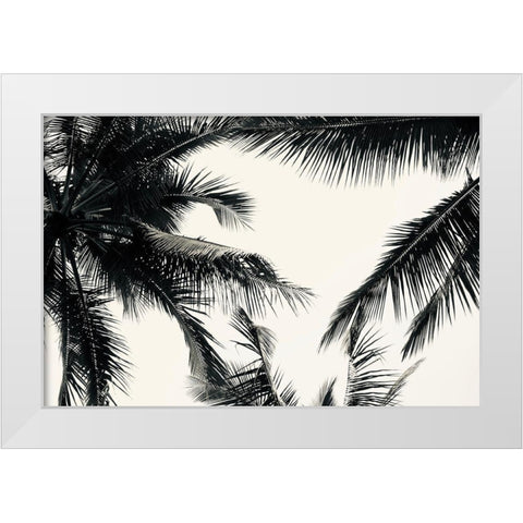 BW Palms White Modern Wood Framed Art Print by Singleton, Ashley