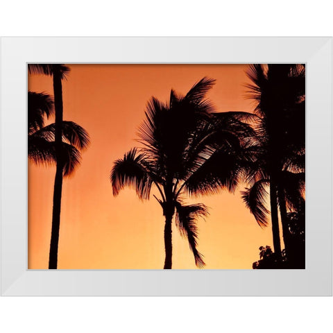 Palms at Sunset White Modern Wood Framed Art Print by Singleton, Ashley