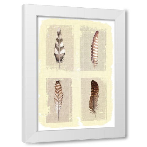 Traditional Figurative Feathers White Modern Wood Framed Art Print by ND Art