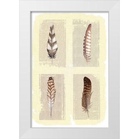 Traditional Figurative Feathers White Modern Wood Framed Art Print by ND Art