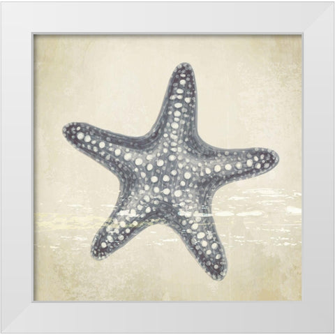 Coastal III White Modern Wood Framed Art Print by ND Art