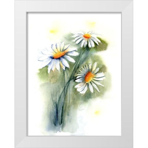 Daisies White Modern Wood Framed Art Print by Shefranov, Olga