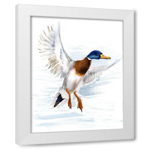 Mallard White Modern Wood Framed Art Print by Shefranov, Olga