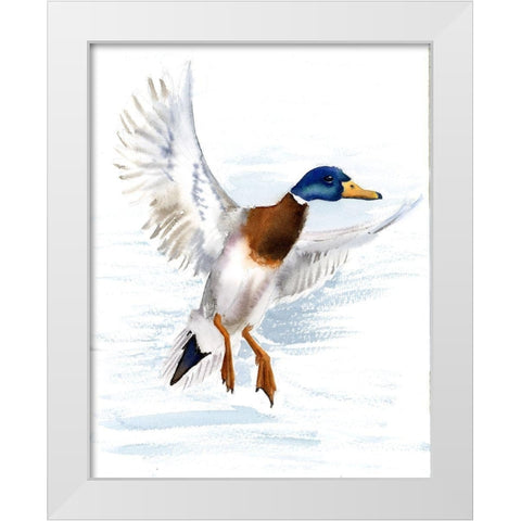 Mallard White Modern Wood Framed Art Print by Shefranov, Olga