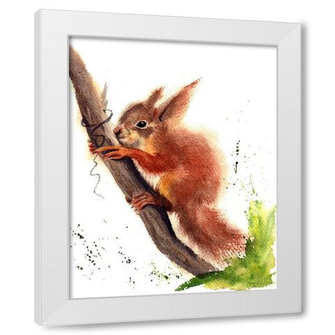 Squirrel White Modern Wood Framed Art Print by Shefranov, Olga