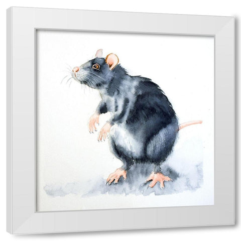 Rat II White Modern Wood Framed Art Print by Shefranov, Olga