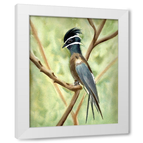 Bird on Branch White Modern Wood Framed Art Print by Shefranov, Olga